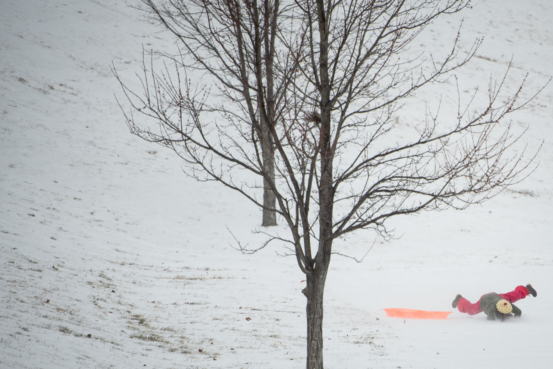 Winter Storm